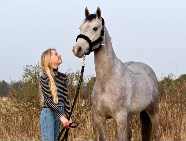 DSP DUPLO-VITZ billede 5