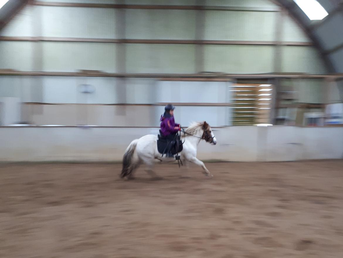 Anden særlig race Line - 17. februar 2021. Første galop. Fuld fart! billede 3
