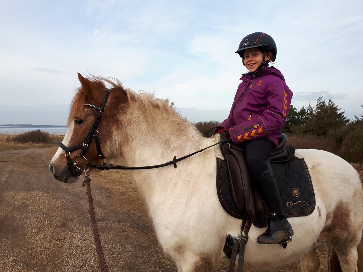 Anden særlig race Line - 21. februar 2021. Første tur ved vandet, det synes hun var lidt farligt billede 4