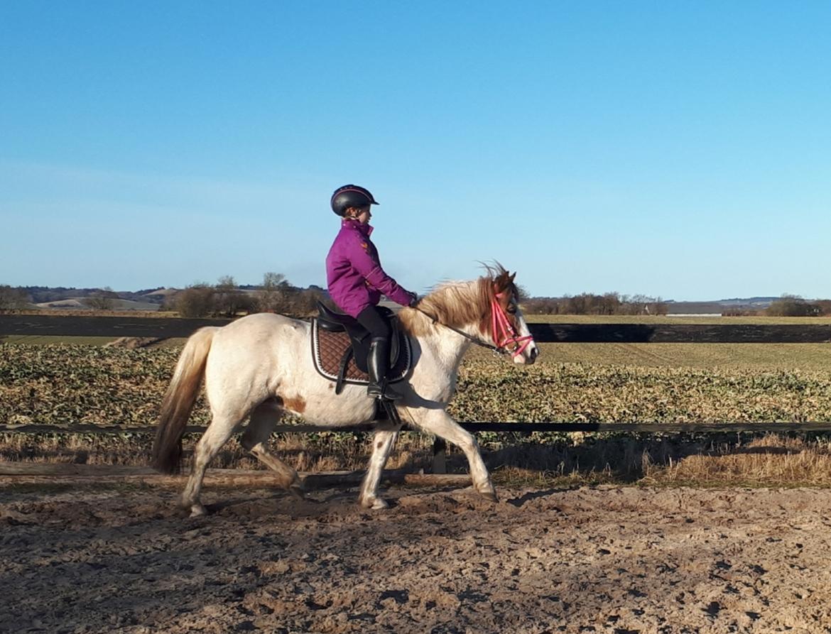 Anden særlig race Line - 8. marts 2021 på banen derhjemme billede 6