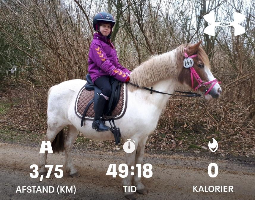 Anden særlig race Line - 14. marts 2021. Deltog i online distanceridt, og venter nu på første roset med posten! billede 10