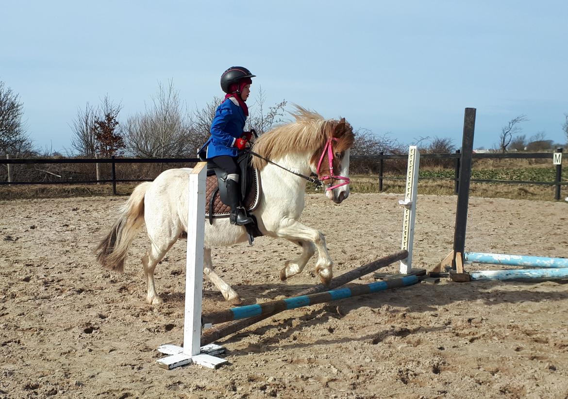 Anden særlig race Line - 21. marts 2021. Online springstævne billede 11