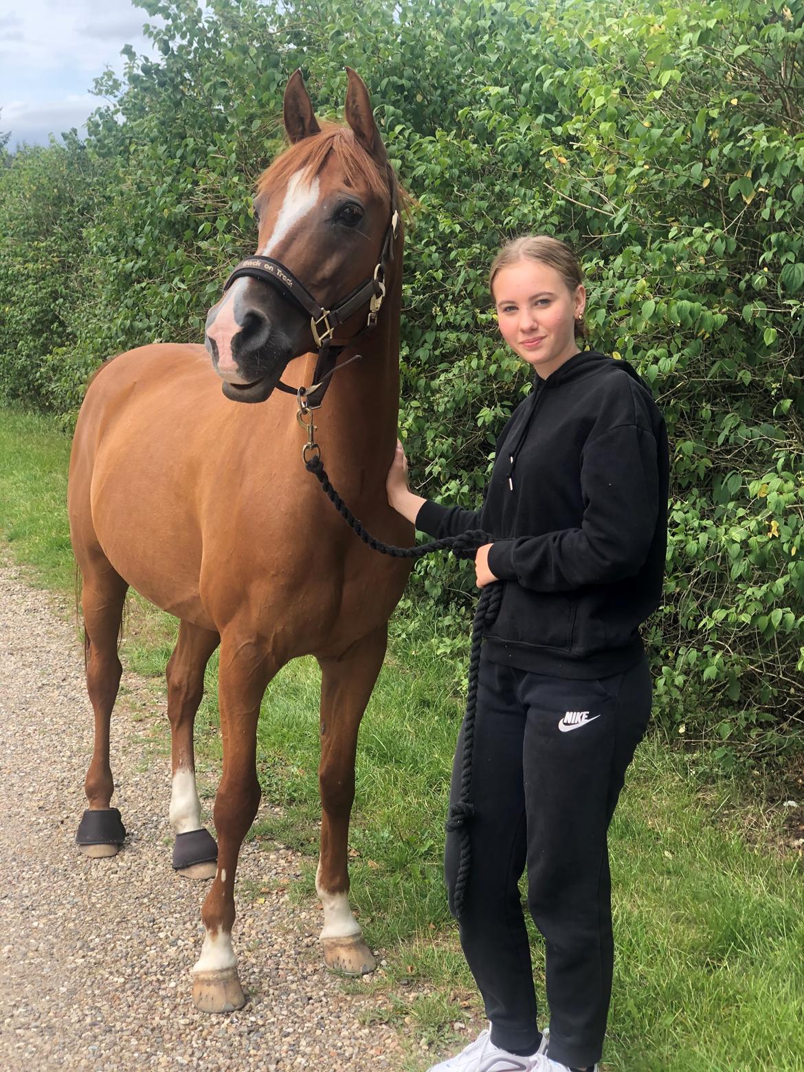 Anden særlig race Red magic billede 5