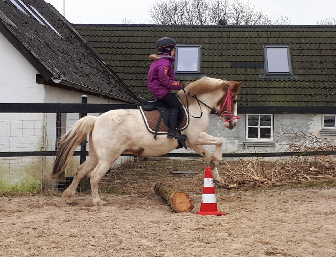 Anden særlig race Line - 26. marts 2021.  billede 15