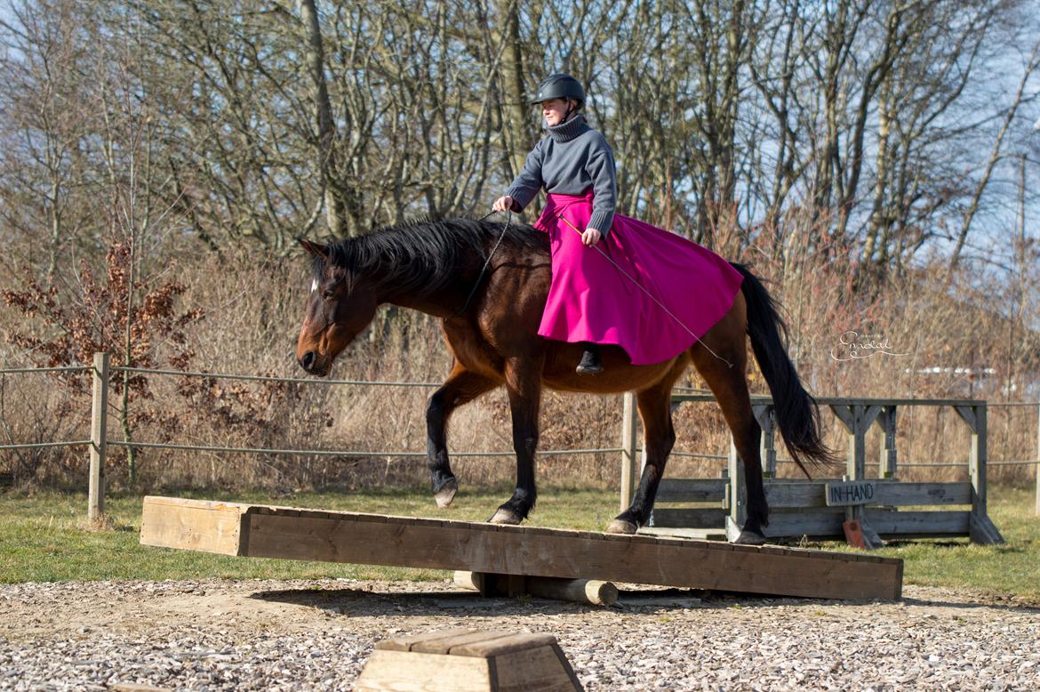 Anden særlig race Flicka <3 | Himmelhest  - På besøg hos Djurs Horse Park billede 12