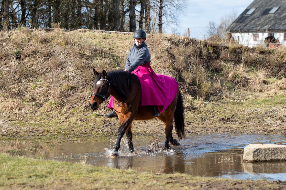 Anden særlig race Flicka <3 | Himmelhest  - På besøg hos Djurs Horse Park  billede 20