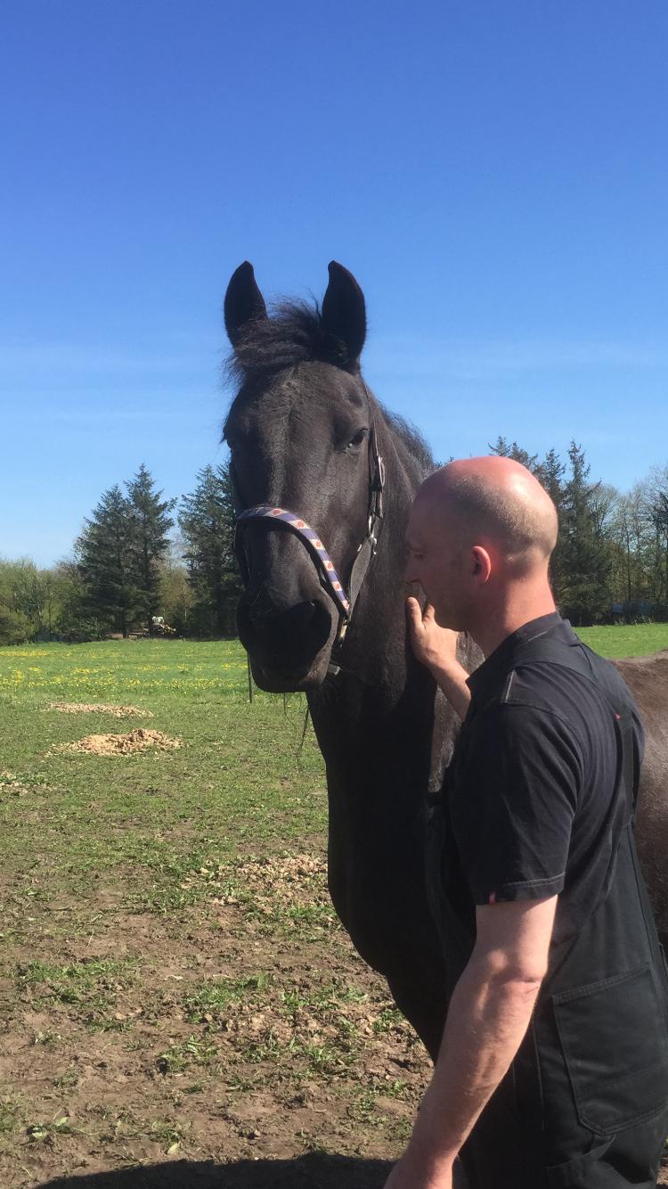 Frieser Jilke wanda Van stubbenhof billede 6