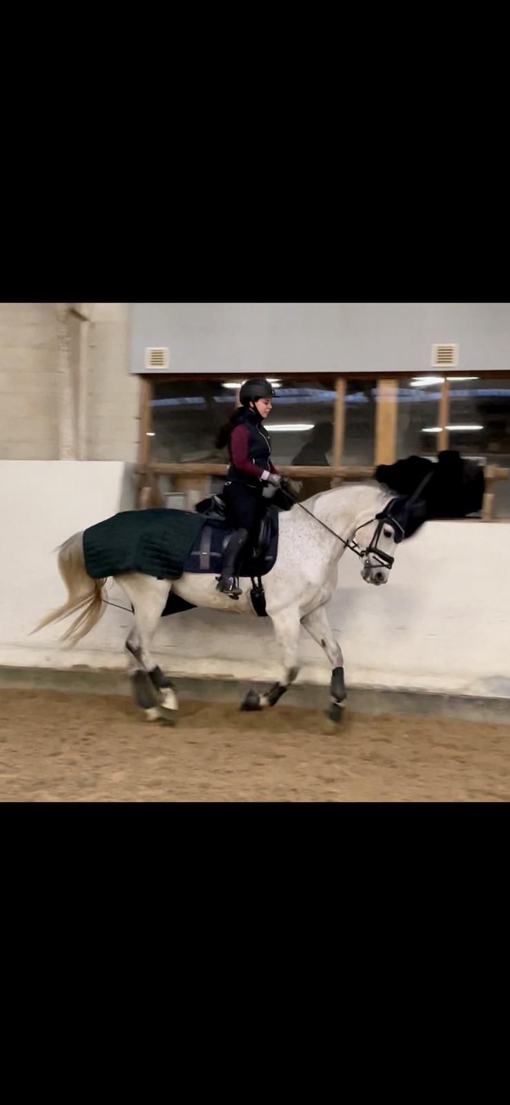 Anden særlig race Donnavan billede 20