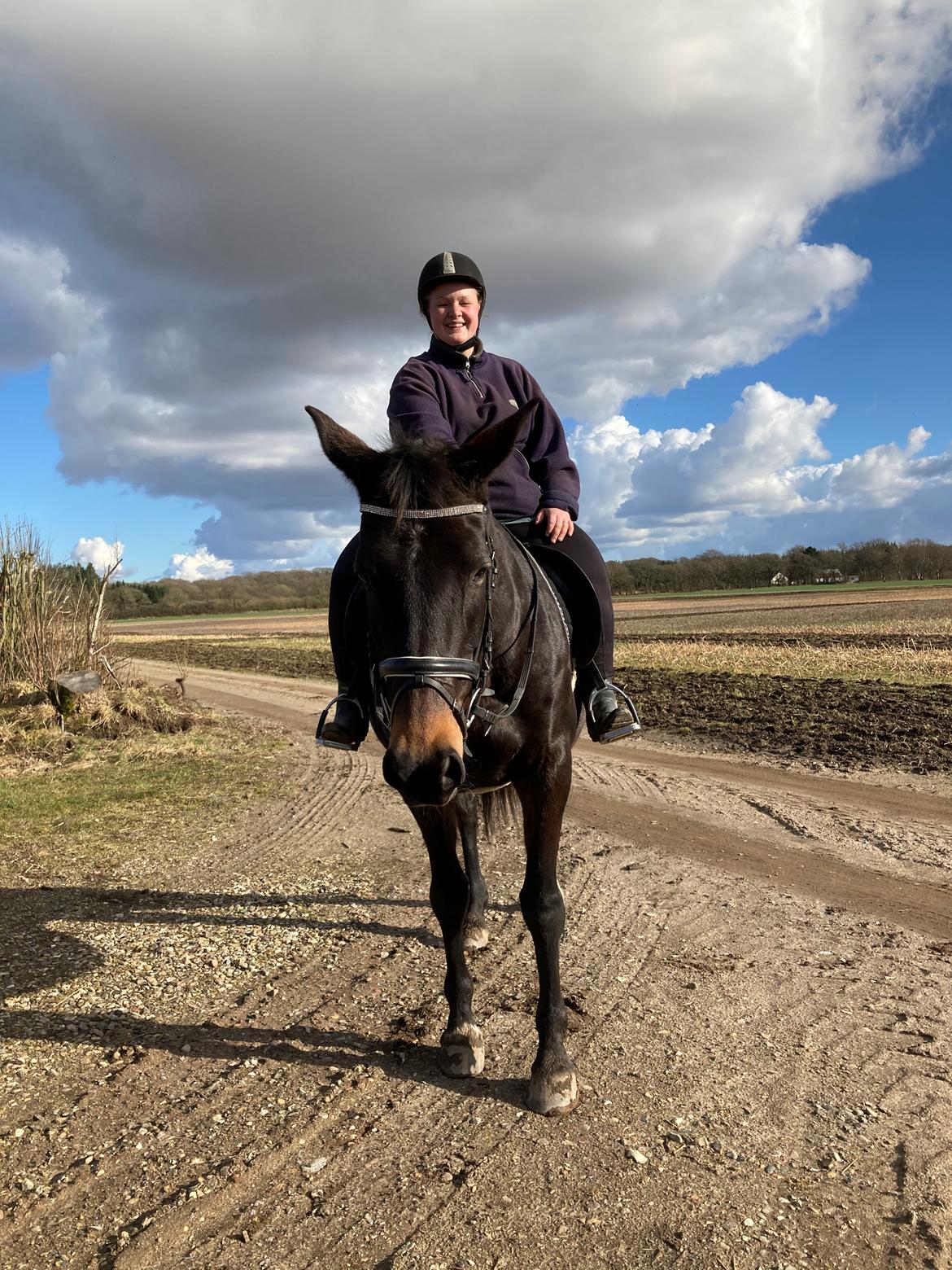 Trakehner Eighteen *Solgt* billede 16