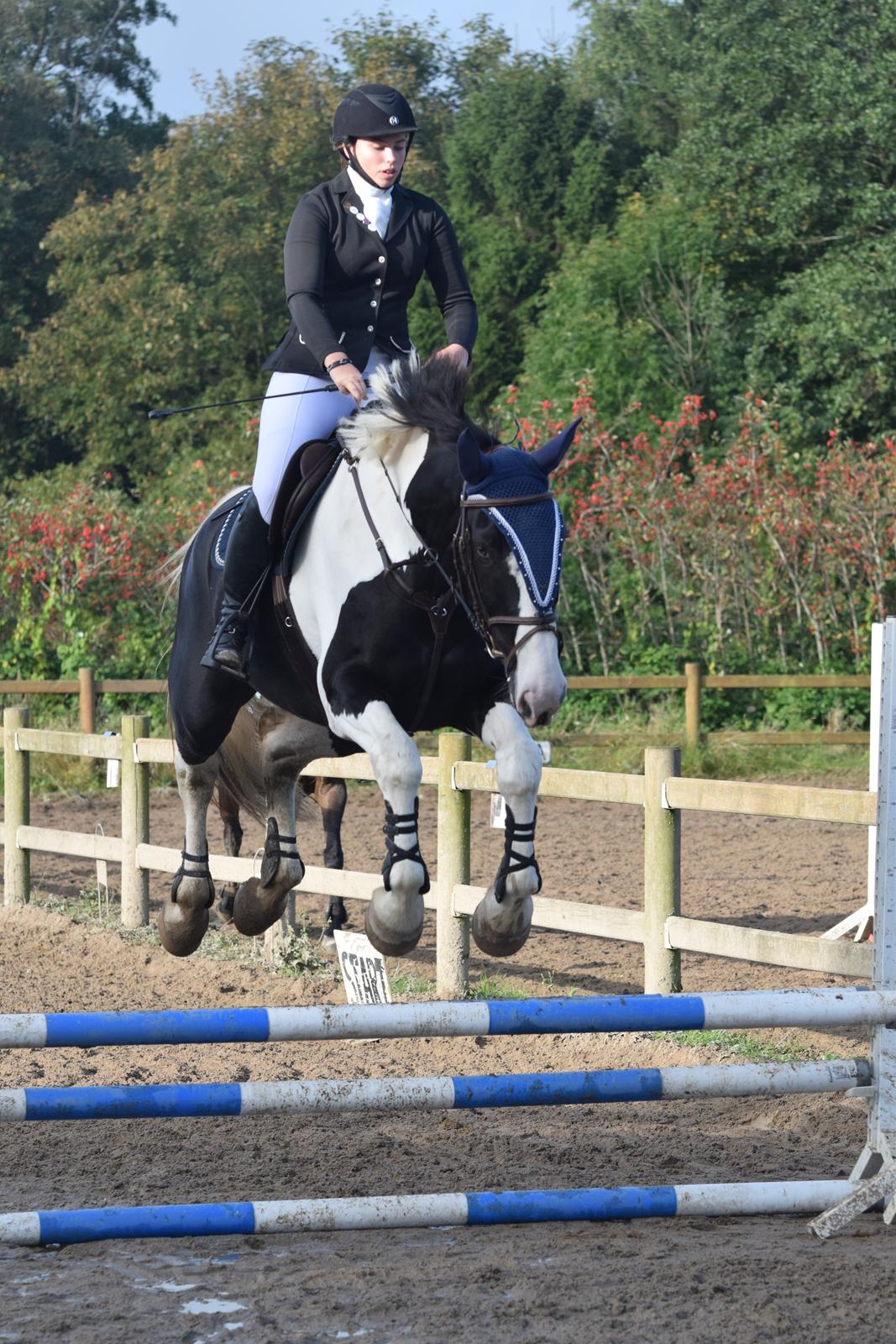 Oldenborg Neubran's Giant Gangster - Gangster fra sit første springstævne, springene er 60 cm, men Gangster synes vidst de var for små. billede 11