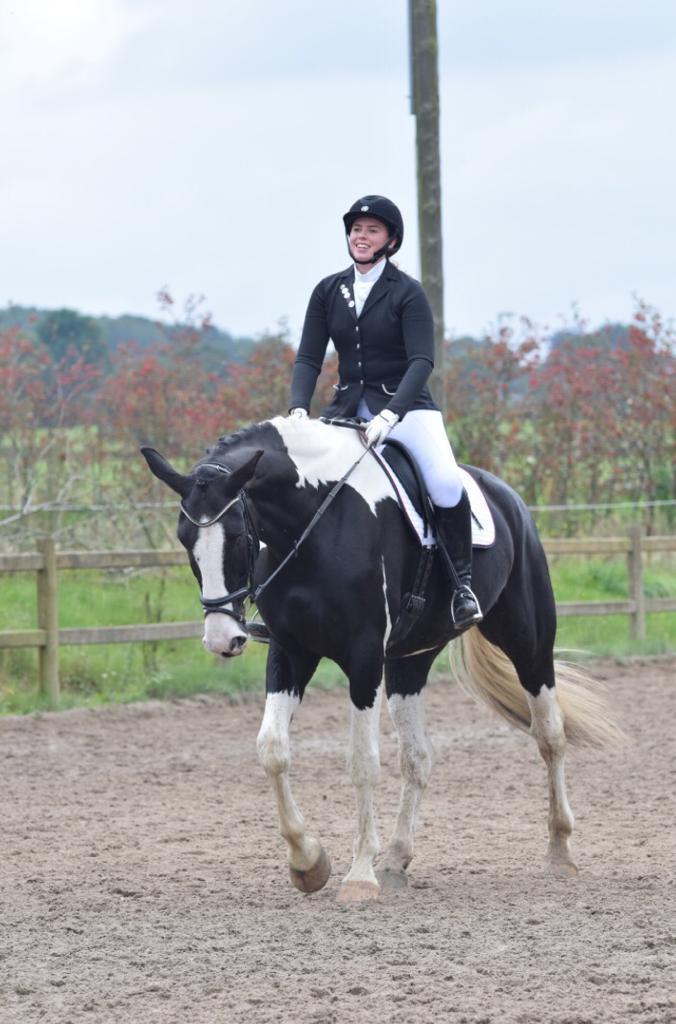Oldenborg Neubran's Giant Gangster - Gangsters første dressurstævne hvor han startede LD1 og LD2. Fotograf: Palero Foto billede 13