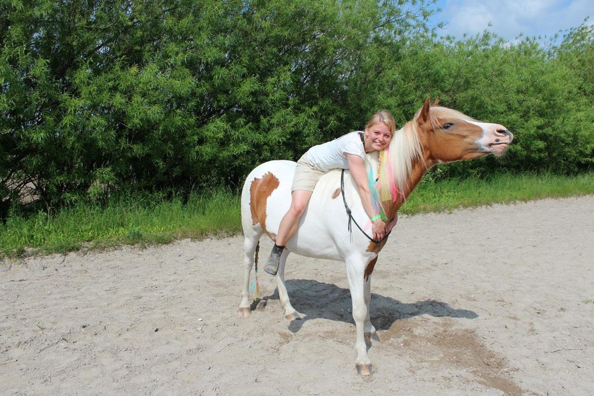 Anden særlig race  Britta billede 11