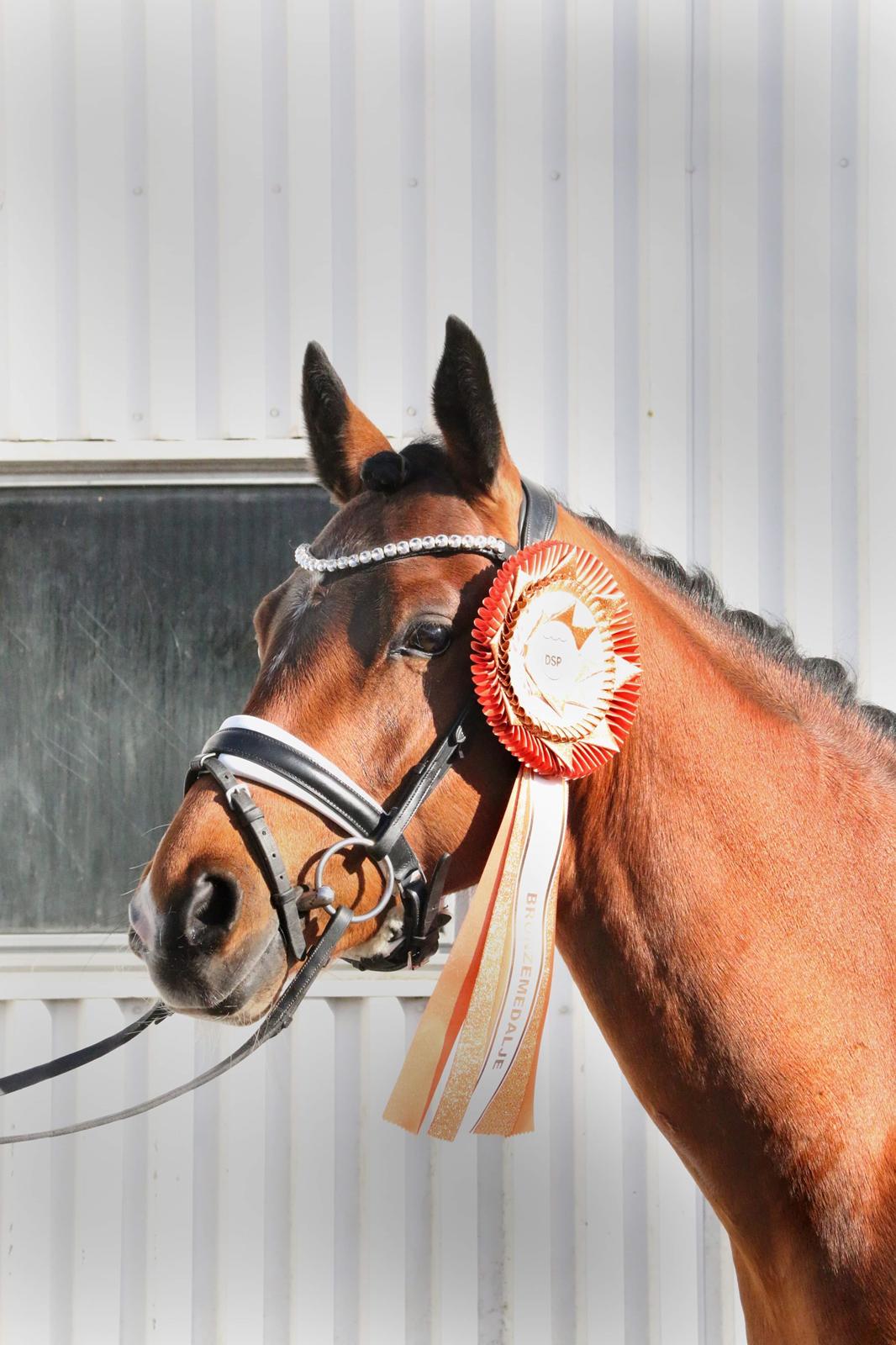 DSP Bjerring's trouble SPH 252 billede 2