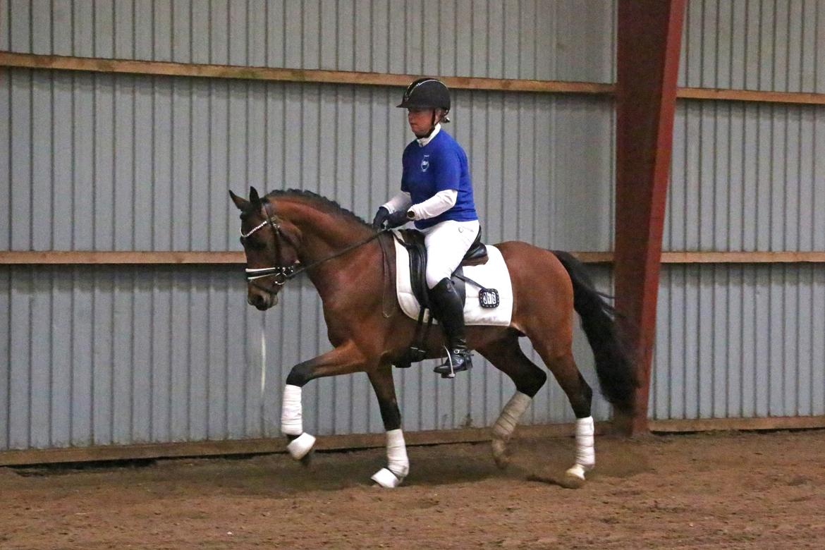 DSP Bjerring's trouble SPH 252 billede 5