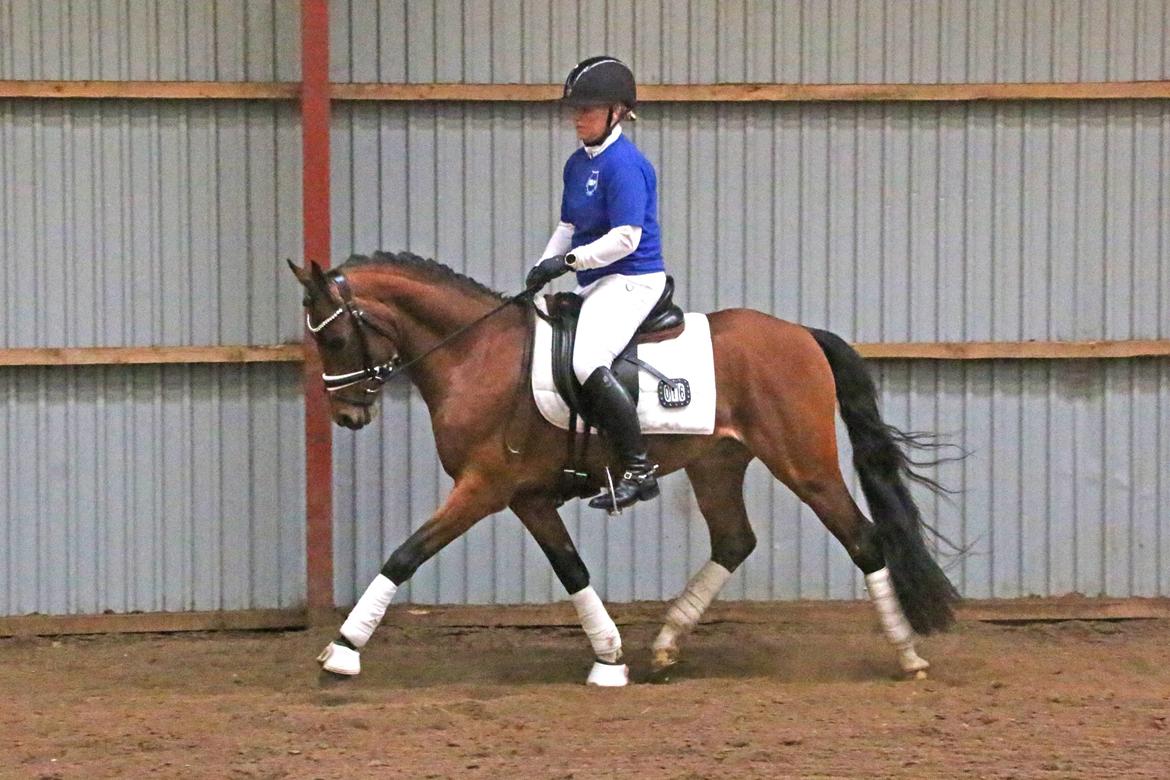 DSP Bjerring's trouble SPH 252 billede 6