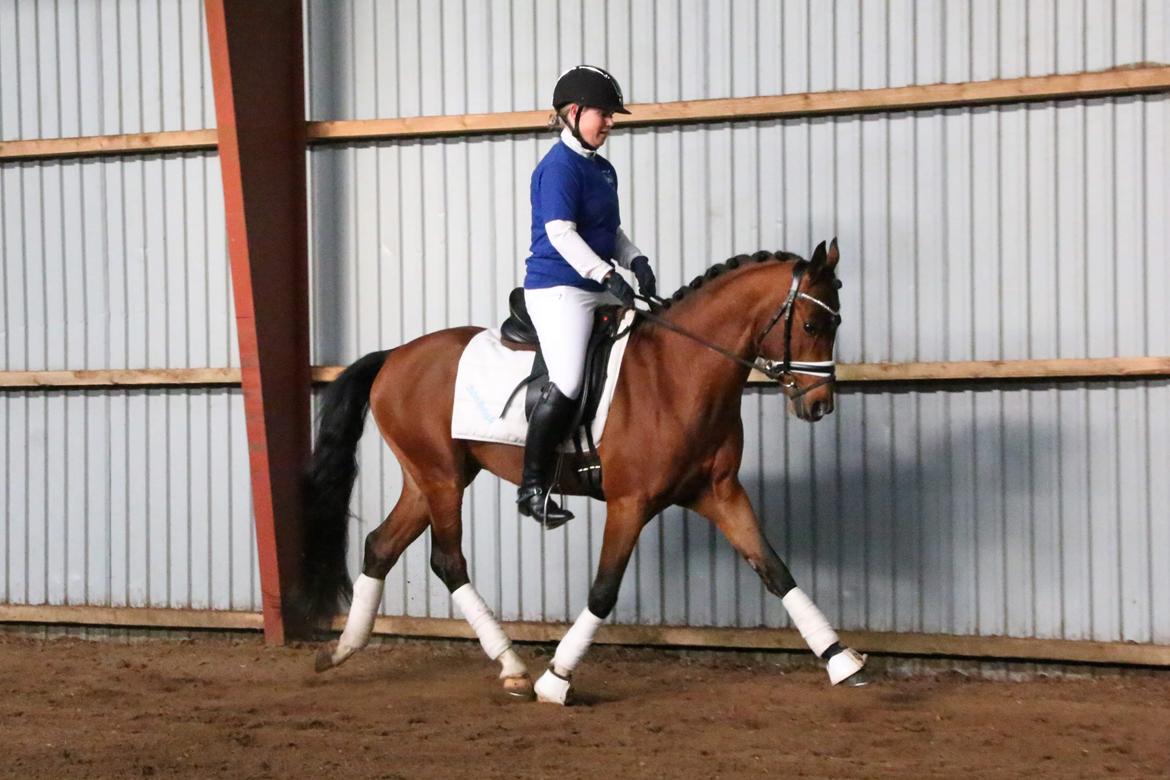 DSP Bjerring's trouble SPH 252 billede 7