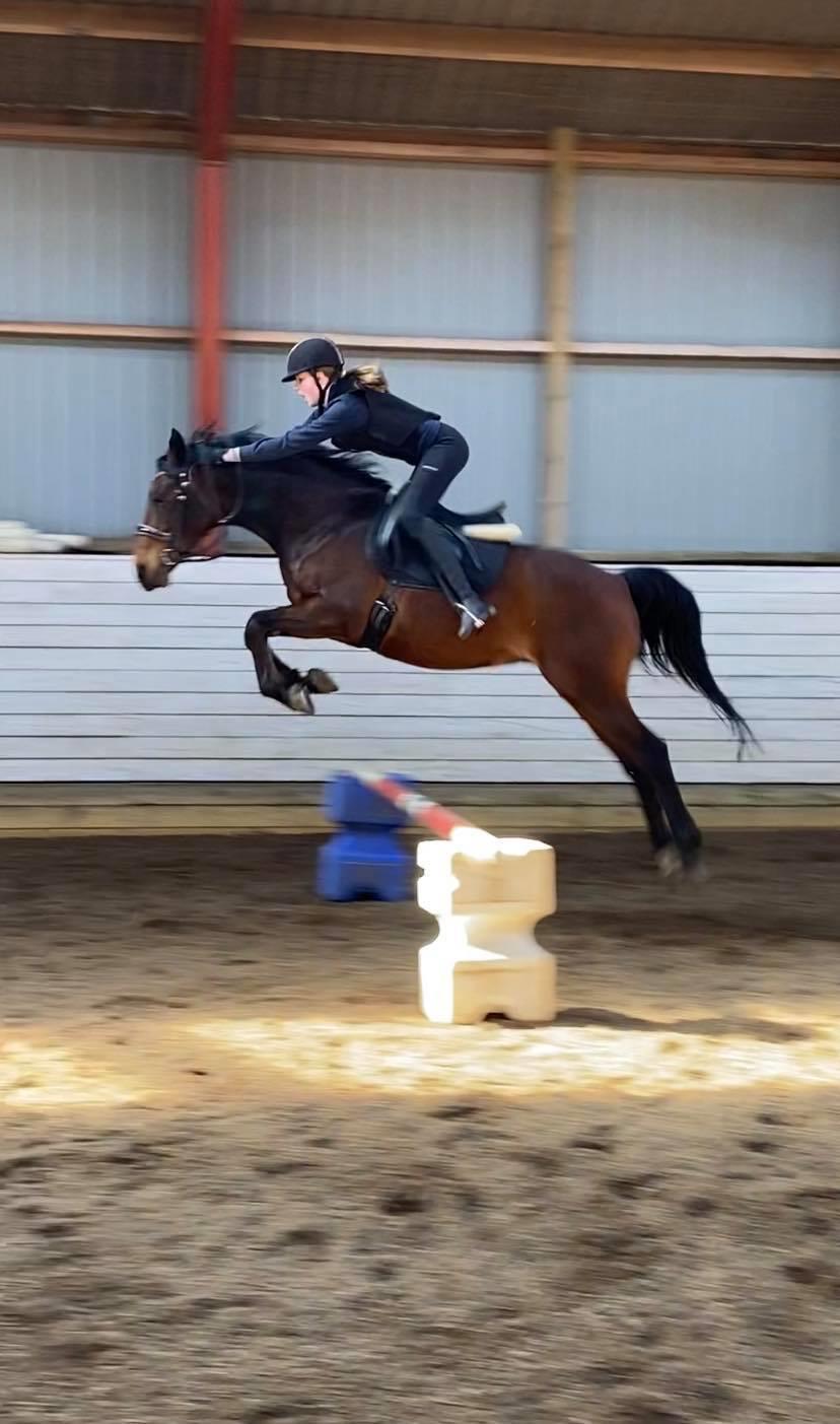 DSP Boliviano (Cas) billede 16