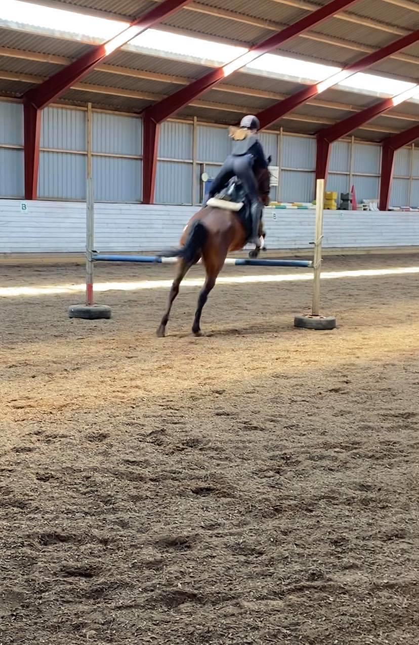 DSP Boliviano (Cas) billede 18