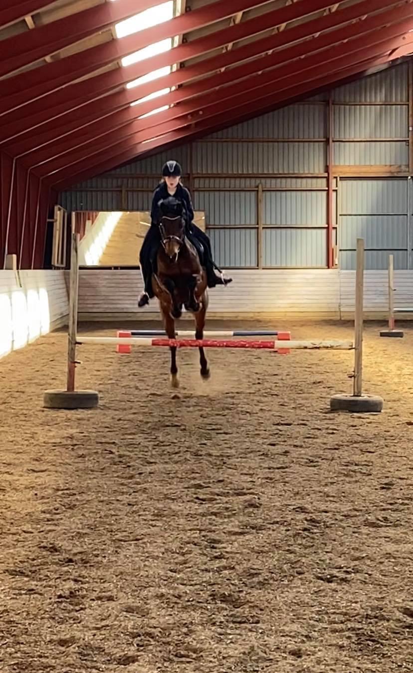 DSP Boliviano (Cas) billede 19