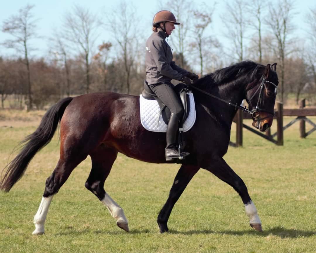 Oldenborg Ullits Sofie  billede 6