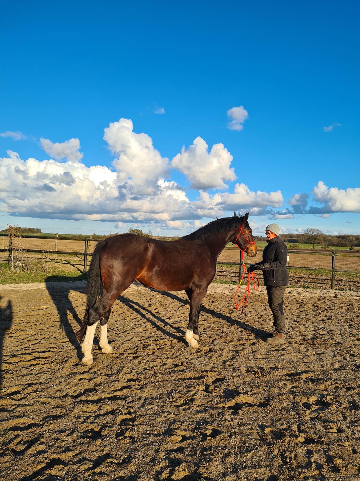 Oldenborg Ullits Sofie  billede 2