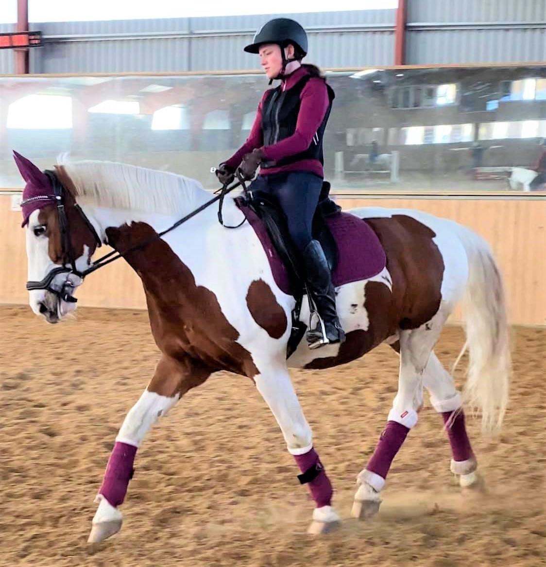 Pinto What A Spot - Superstjernen! billede 6