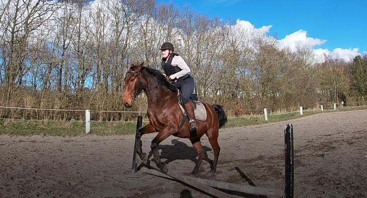 Anden særlig race Gniden (Tops) - anden gang vi springer april 2021 billede 5