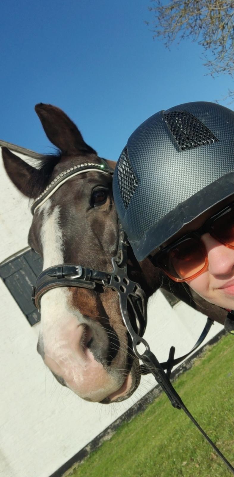 New Forest Lukas Søblink billede 11