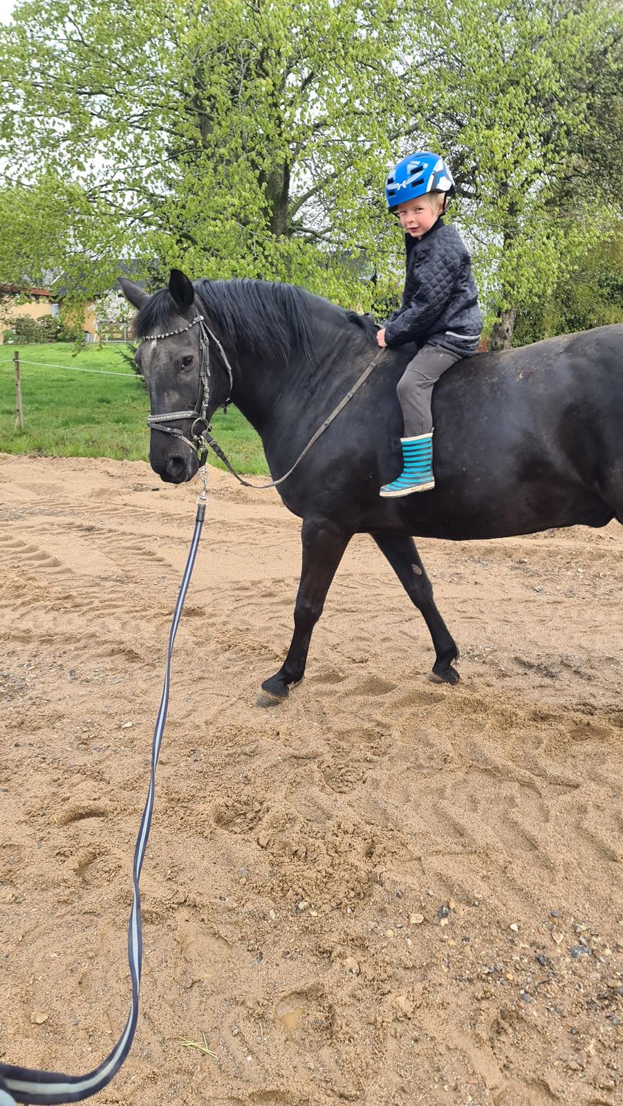 Anden særlig race Diablo billede 20