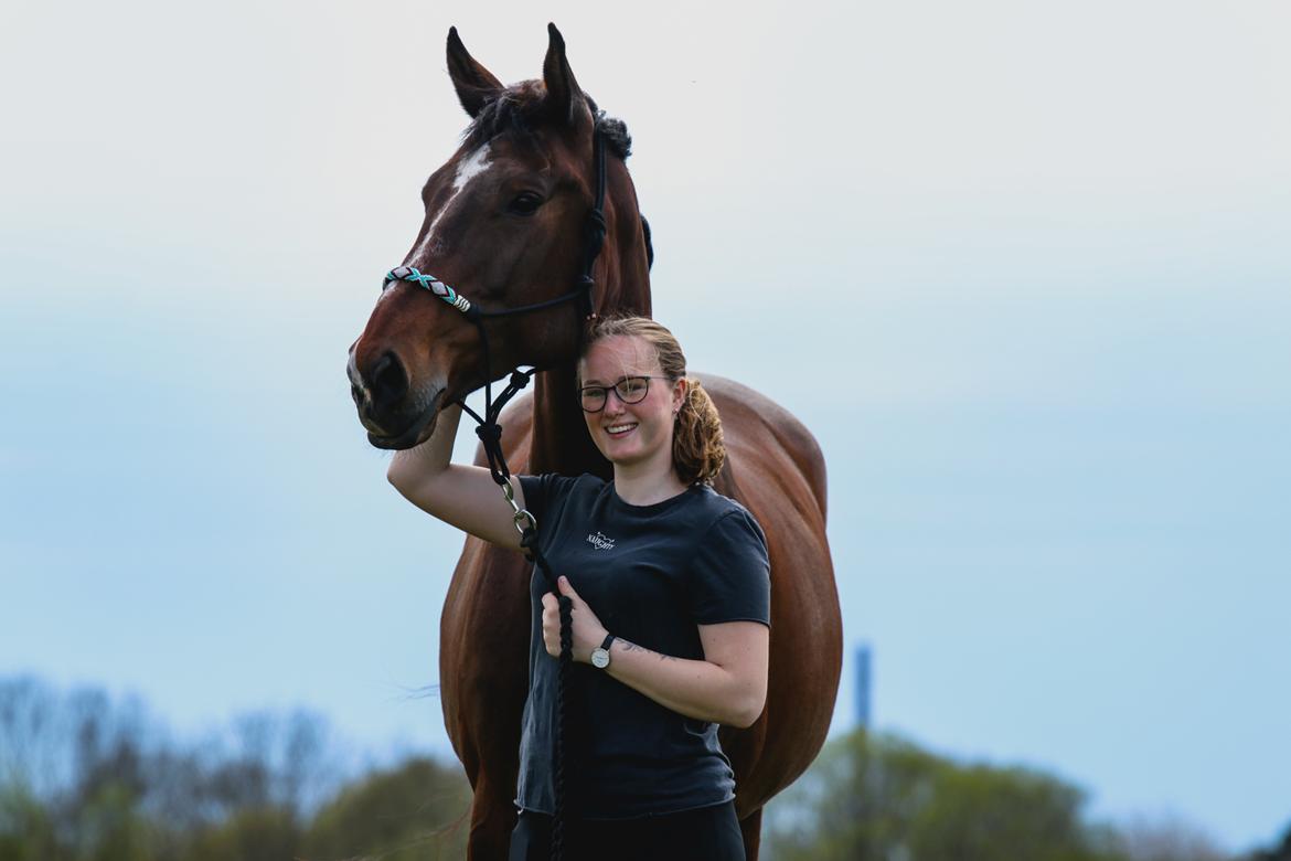 Dansk Varmblod Quite alone billede 3