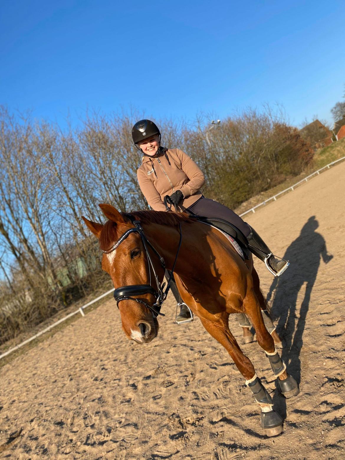 Anden særlig race Raffael (Raffe) billede 4