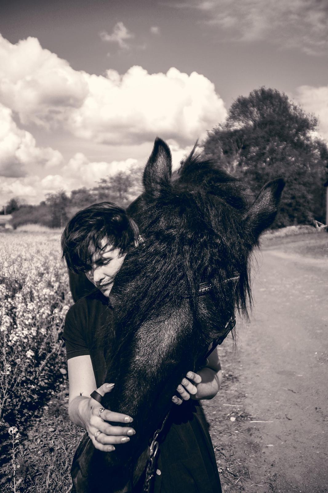 Shire Lønborgs Sir Lancelot (Lille Fyr) billede 11