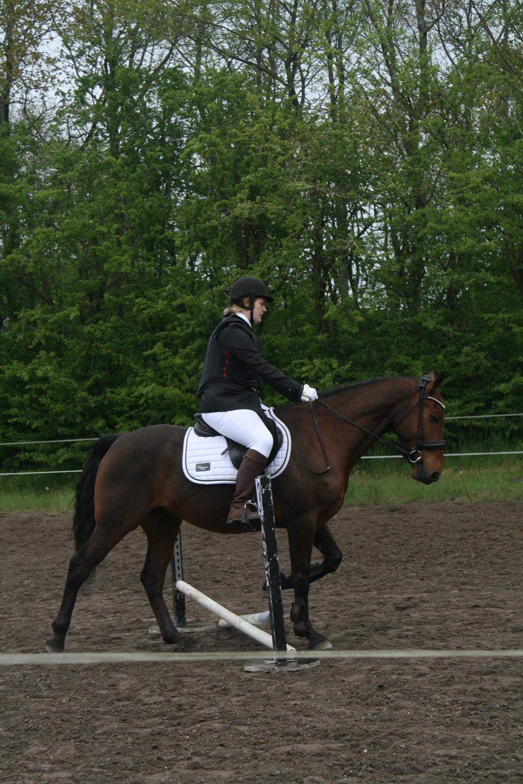 Anden særlig race Gniden (Tops) - små kryds 22 maj 2021 billede 6