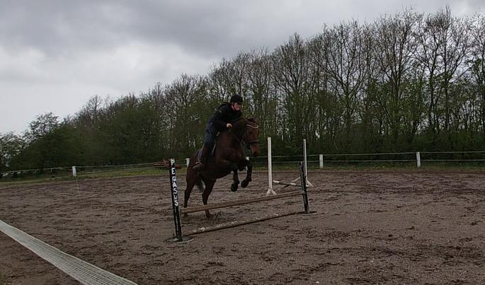 Anden særlig race Gniden (Tops) - 4. gang vi sprang midt maj billede 4