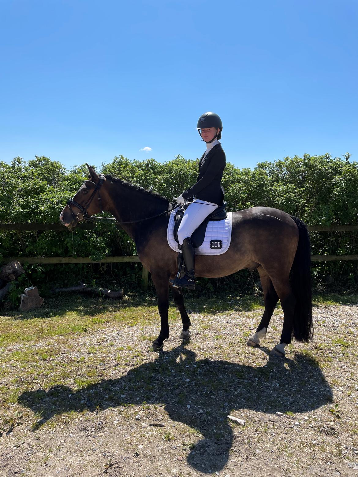 New Forest Bryggergårdens Bacardi billede 13