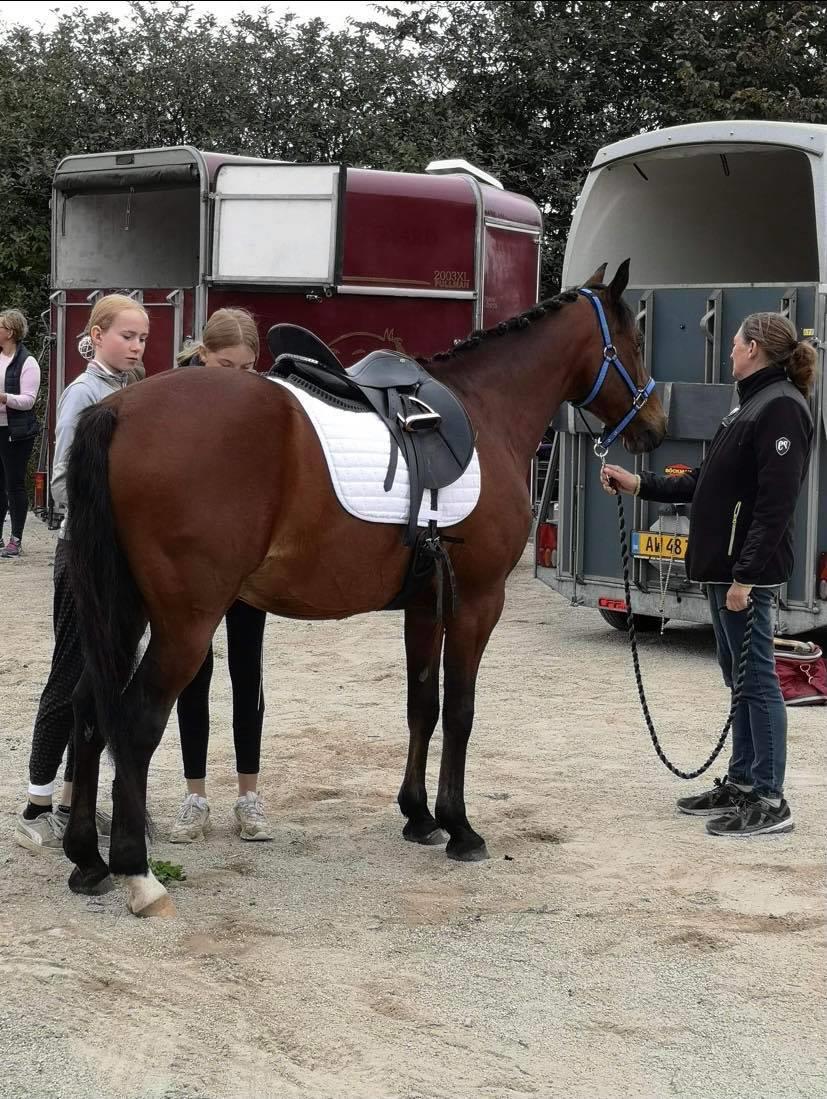 DSP Boliviano (Cas) billede 20