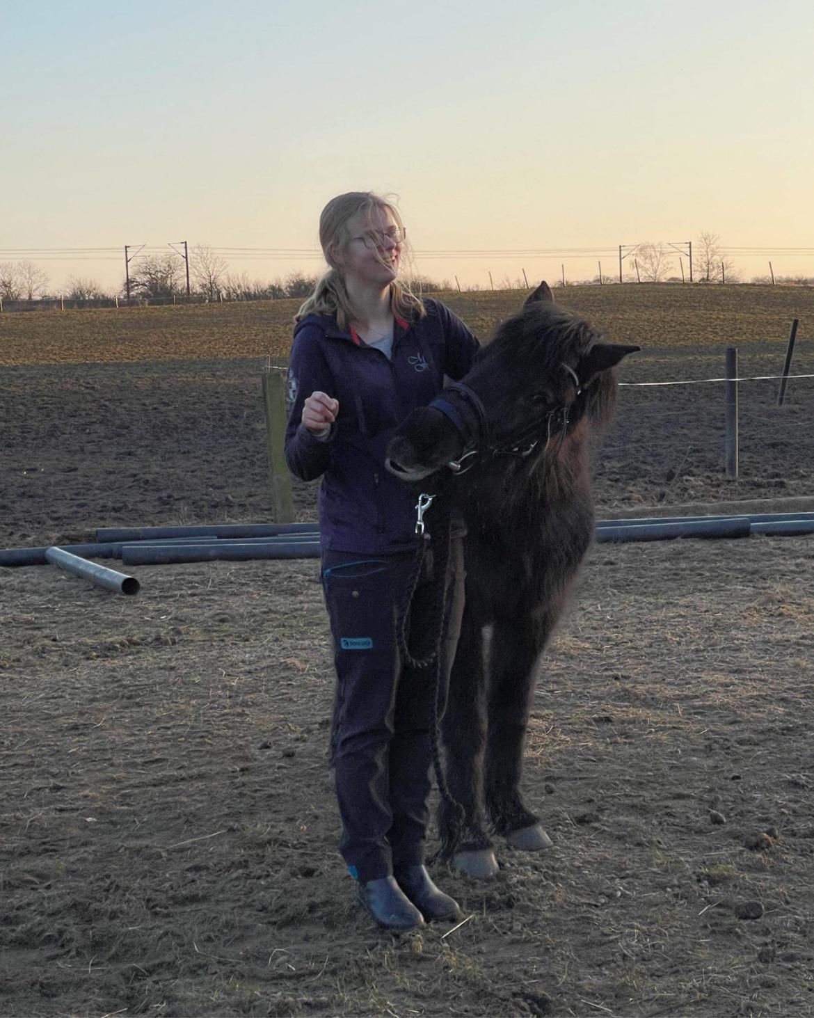 Islænder Ronja fra Hauløkkegaard  billede 1