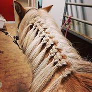 Islænder Yrsa fra Grove