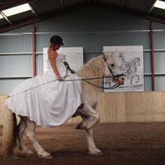 Anden særlig race Dax