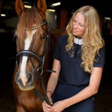 DSP Snorgaards Mango