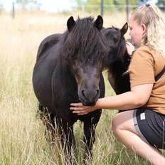 Anden særlig race Turn and burn 