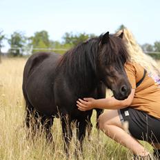 Anden særlig race Turn and burn 