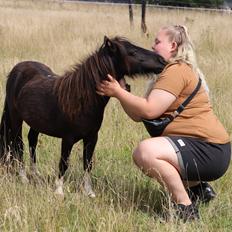 Anden særlig race Capaia