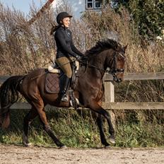Anden særlig race Mosedalens La Prima