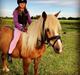 Haflinger Mille *R. I. P*