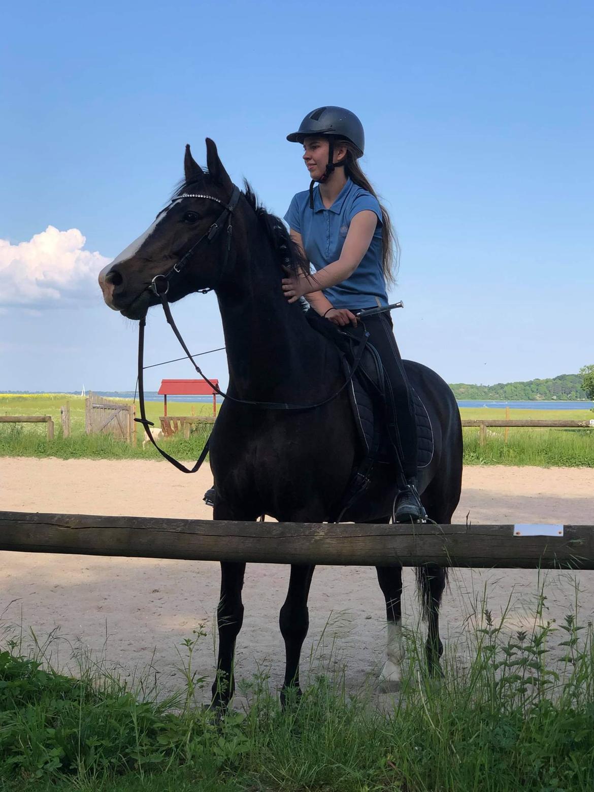 New Forest Lukas Søblink billede 13