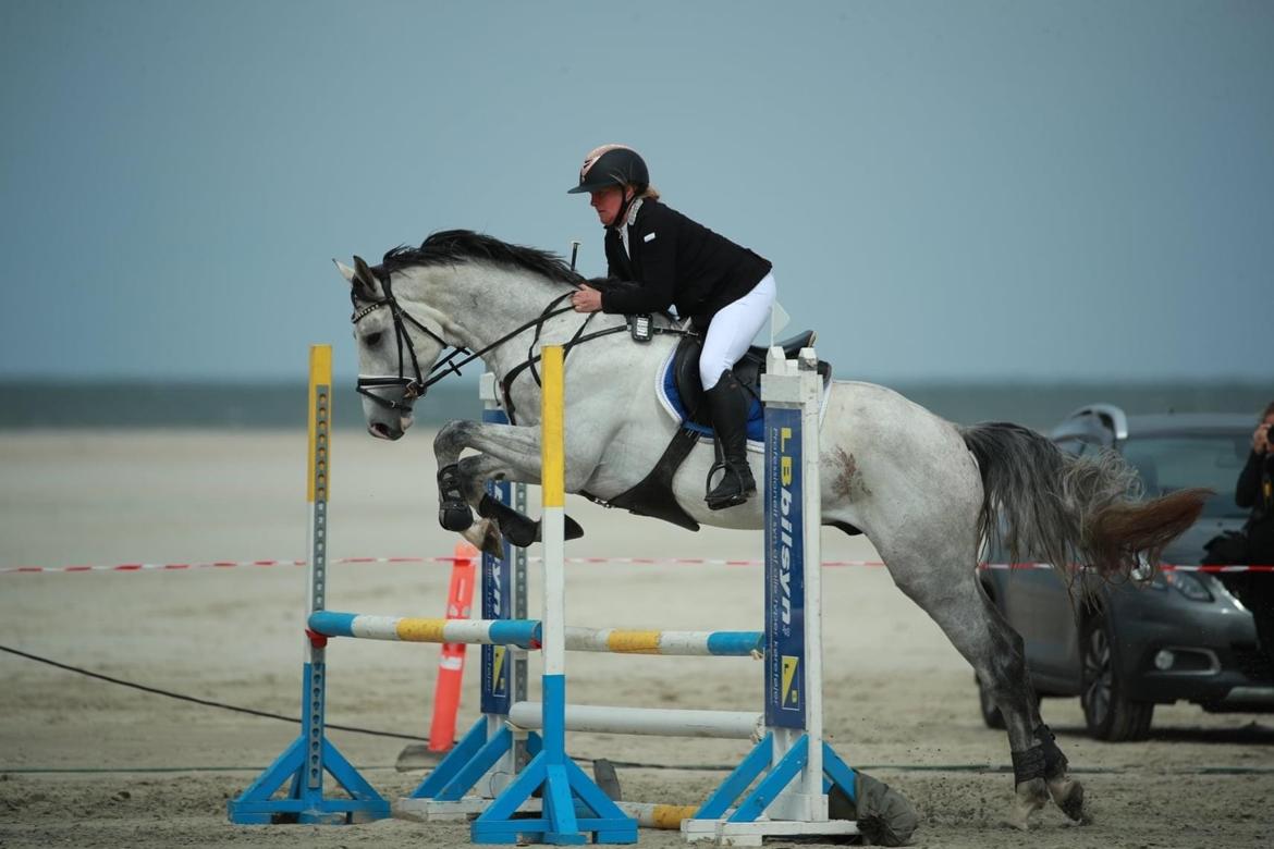 Dansk Varmblod Chaccolino N.G.M. - Rømø Beach jump 2021 billede 19