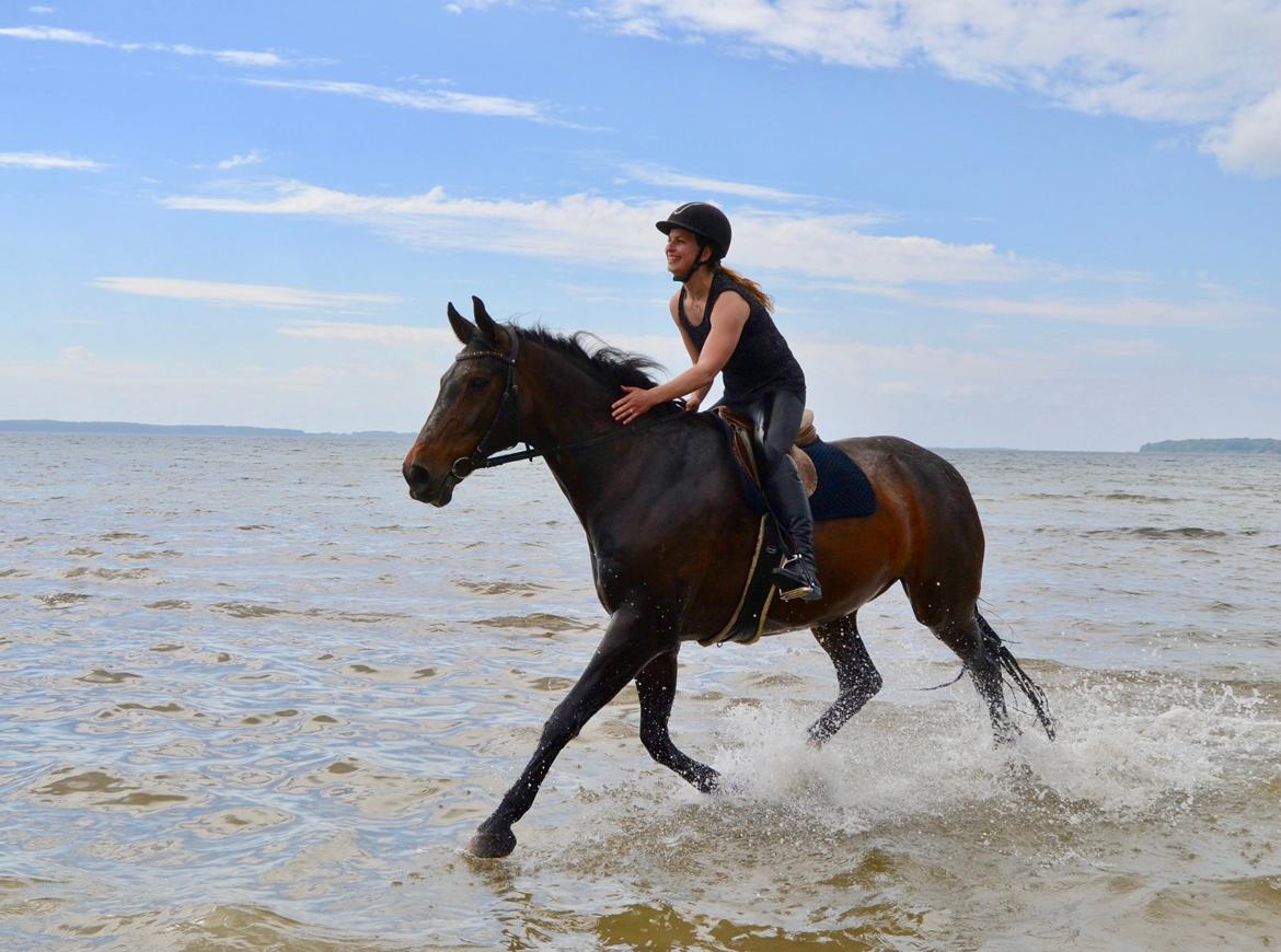 Holstener Hornsmarkens Chester - Maj 21 billede 2