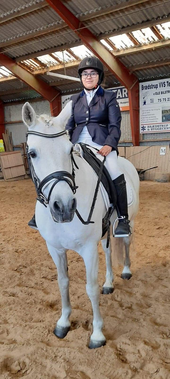 Connemara Aabæks Robin Lee (Cozmo) billede 9