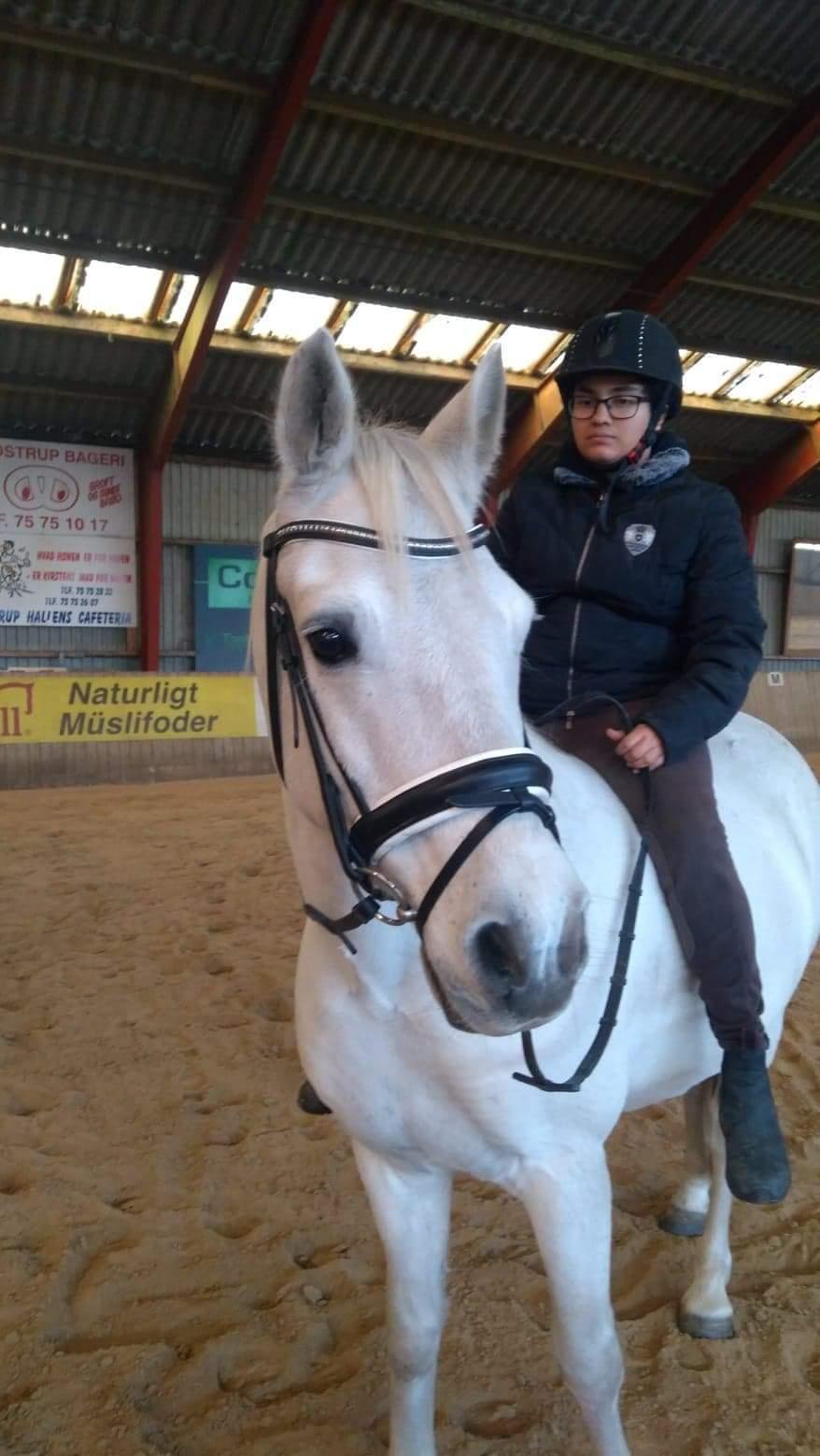 Connemara Aabæks Robin Lee (Cozmo) billede 11